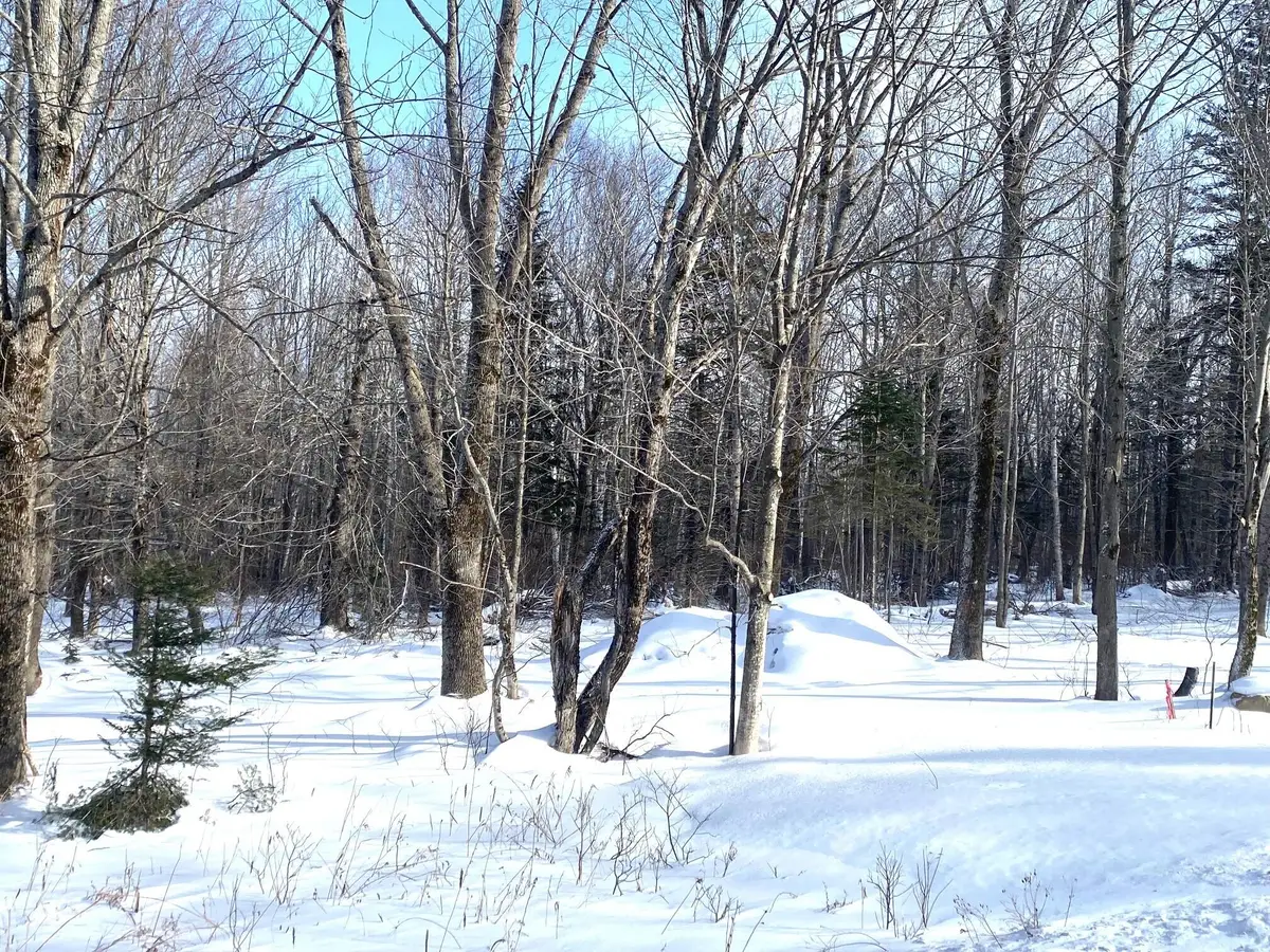 47 Greenville Road #Lot 2, Shirley, ME 04485 - #1