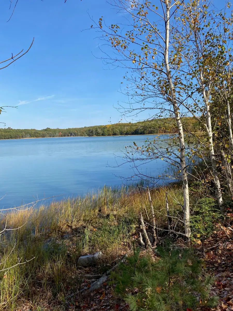 0 S Bay Road, Franklin, ME 04634 - #2