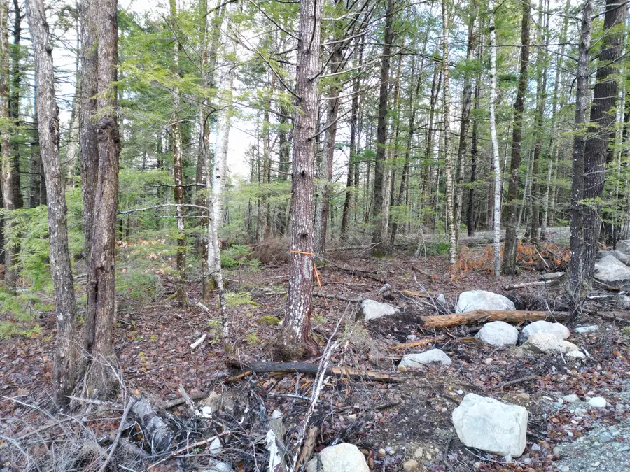 Lot 6 Beaver Cove, Lincoln, ME 04457 - Image #2