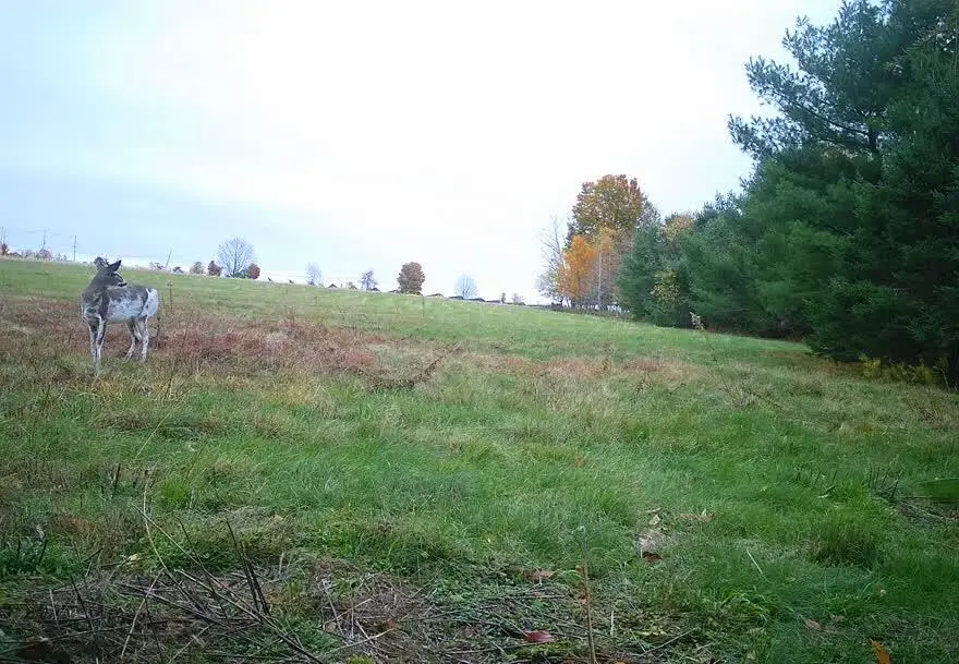 16A Pooler Road, Pittsfield, ME 04967 - Image #2