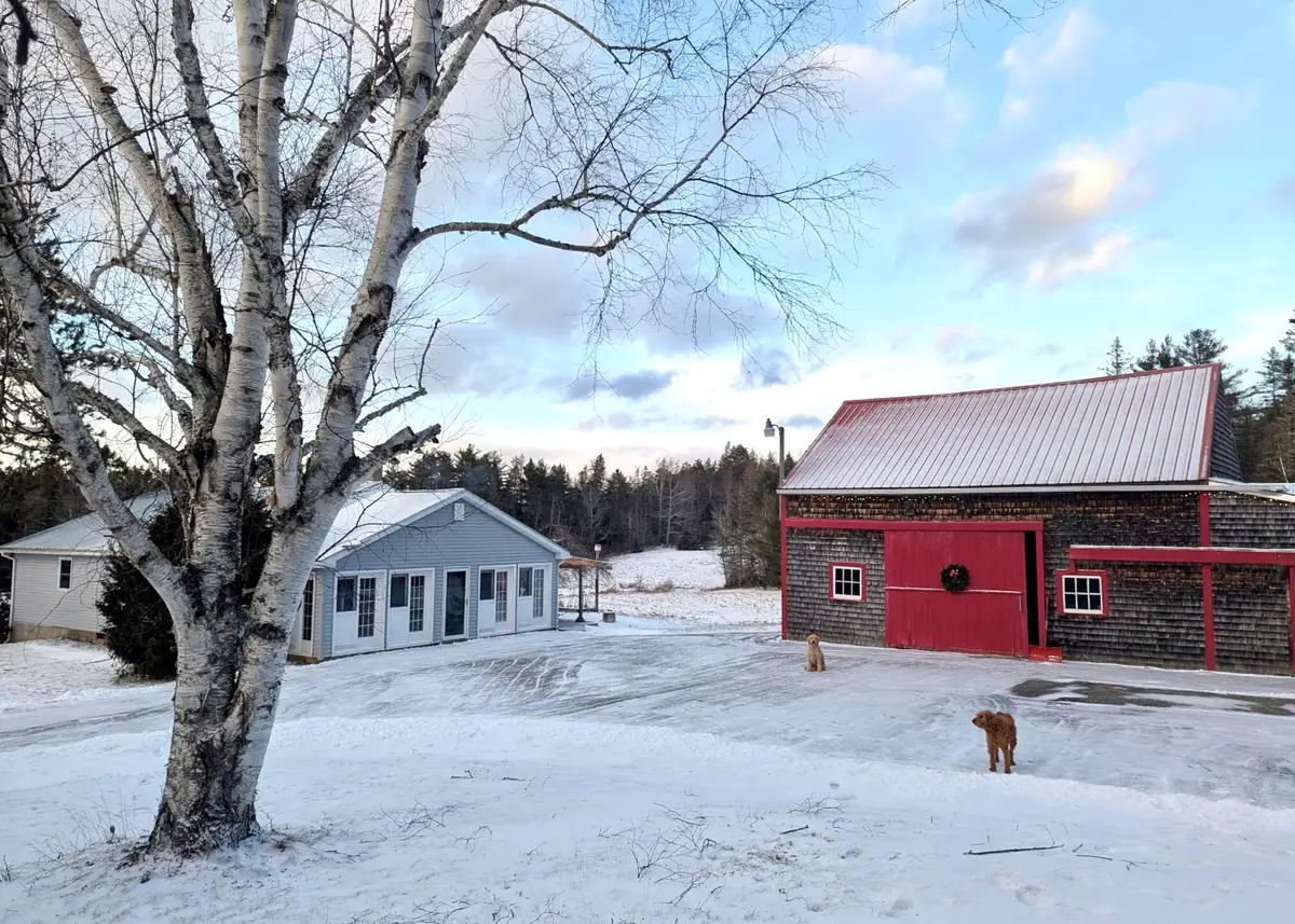 252 Ox Cove Road, Pembroke, ME 04666 - #1