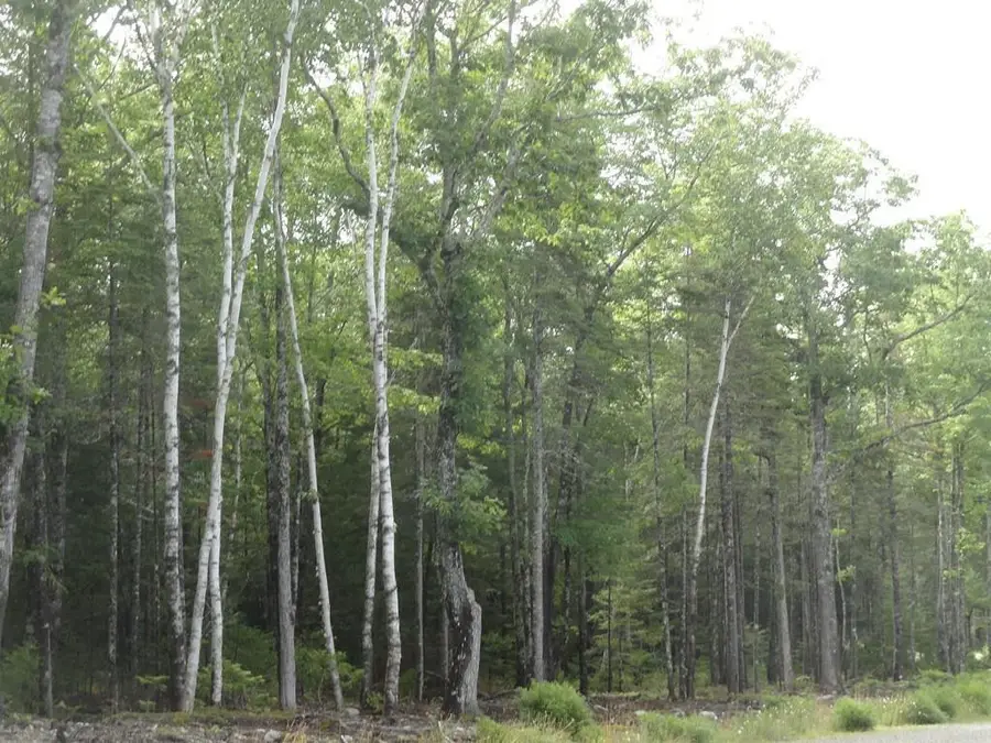 6 Bluff Road, Bar Harbor, ME 04609 - Image #2