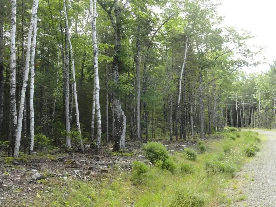 6 Bluff Road, Bar Harbor, ME 04609 - Image #3