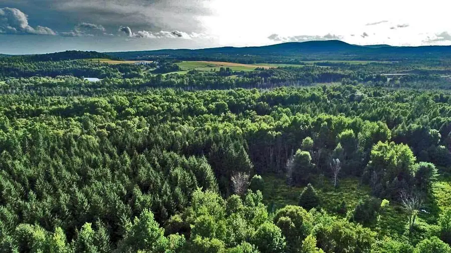 Lot-5-1 Off Burton Road, Linneus, ME 04730 - Image #2