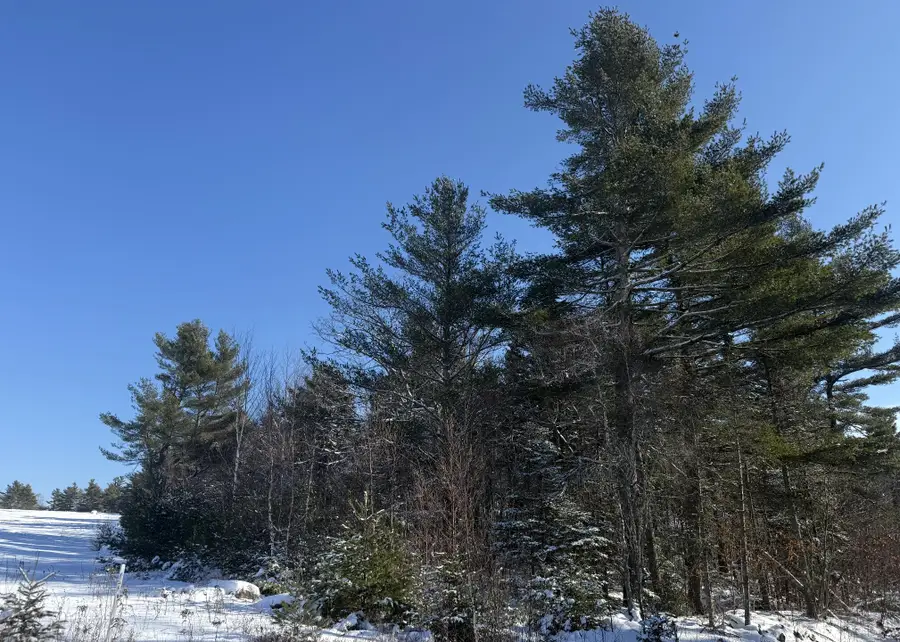 MR2 L123B Pout Town Road, Stockton Springs, ME 04981 - Image #2