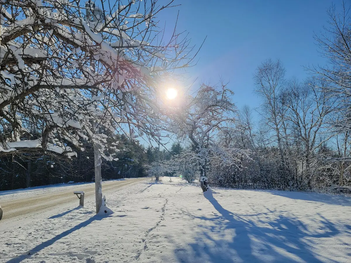 4-8 Macomber Mill Road, Eastbrook, ME 04634 - Image #1