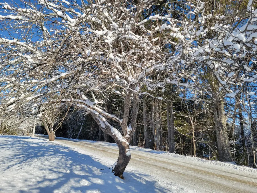 4-8 Macomber Mill Road, Eastbrook, ME 04634 - Image #2