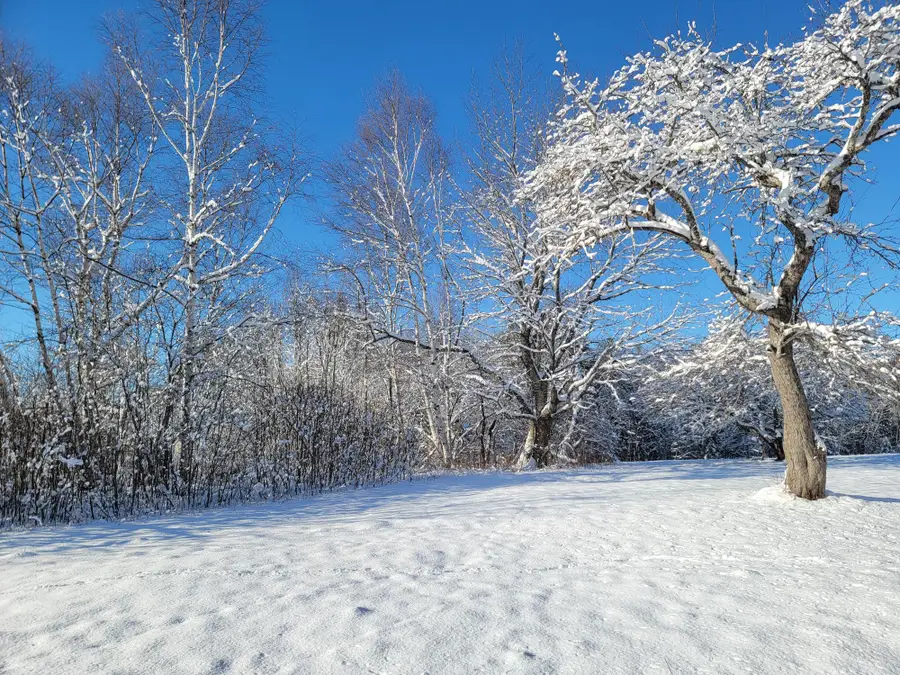 4-8 Macomber Mill Road, Eastbrook, ME 04634 - Image #3