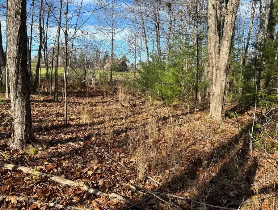 Lot 14A River Road, Hollis, ME 04043 - Image #3