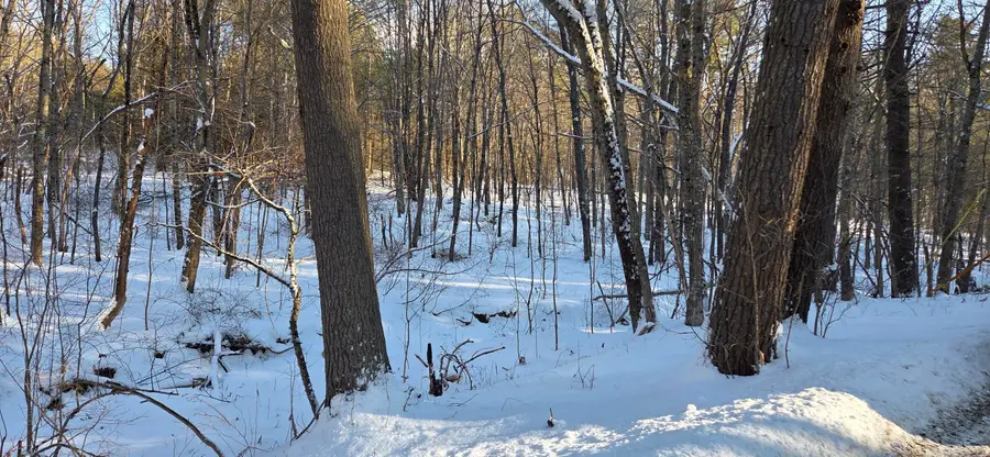 M14 L23A Ferry Road, Orrington, ME 04474 - Image #3