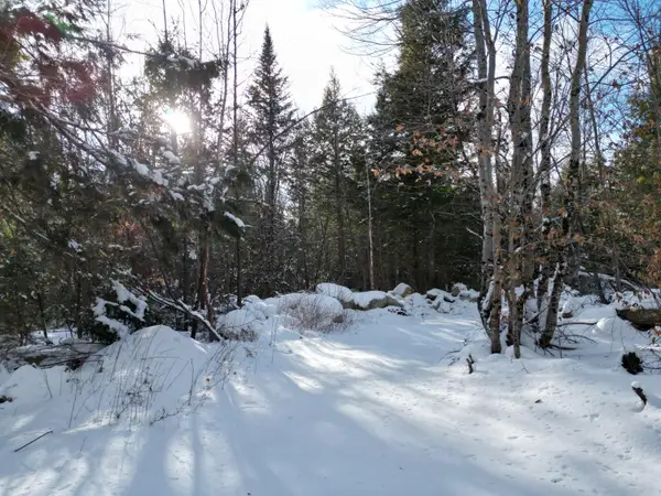 16 Crooked Pond Road, Lincoln, ME 04457