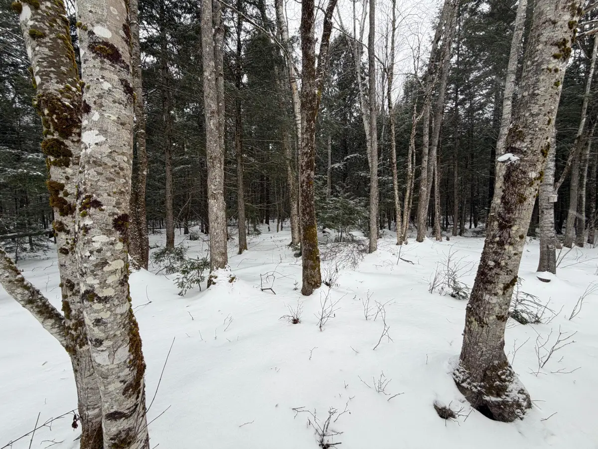 20 Compromise Drive, Lagrange, ME 04453 - #1