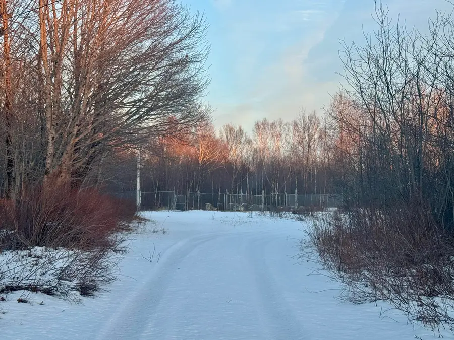 119 County Road, Eastport, ME 04631 - #2