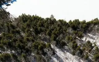 M5L38-1 North Shore Of Center Pond, Sangerville, ME 04479 - Image #2