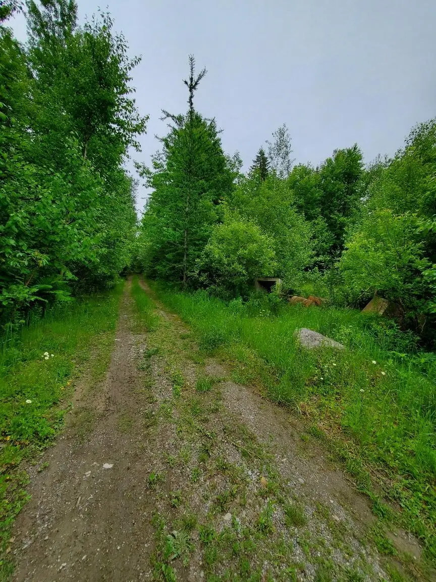 0 Mill Street, Princeton, ME 04668 - #2
