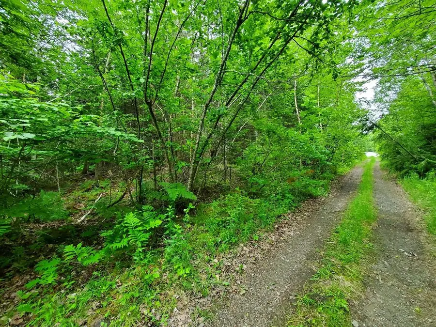 0 Mill Street, Princeton, ME 04668 - #3