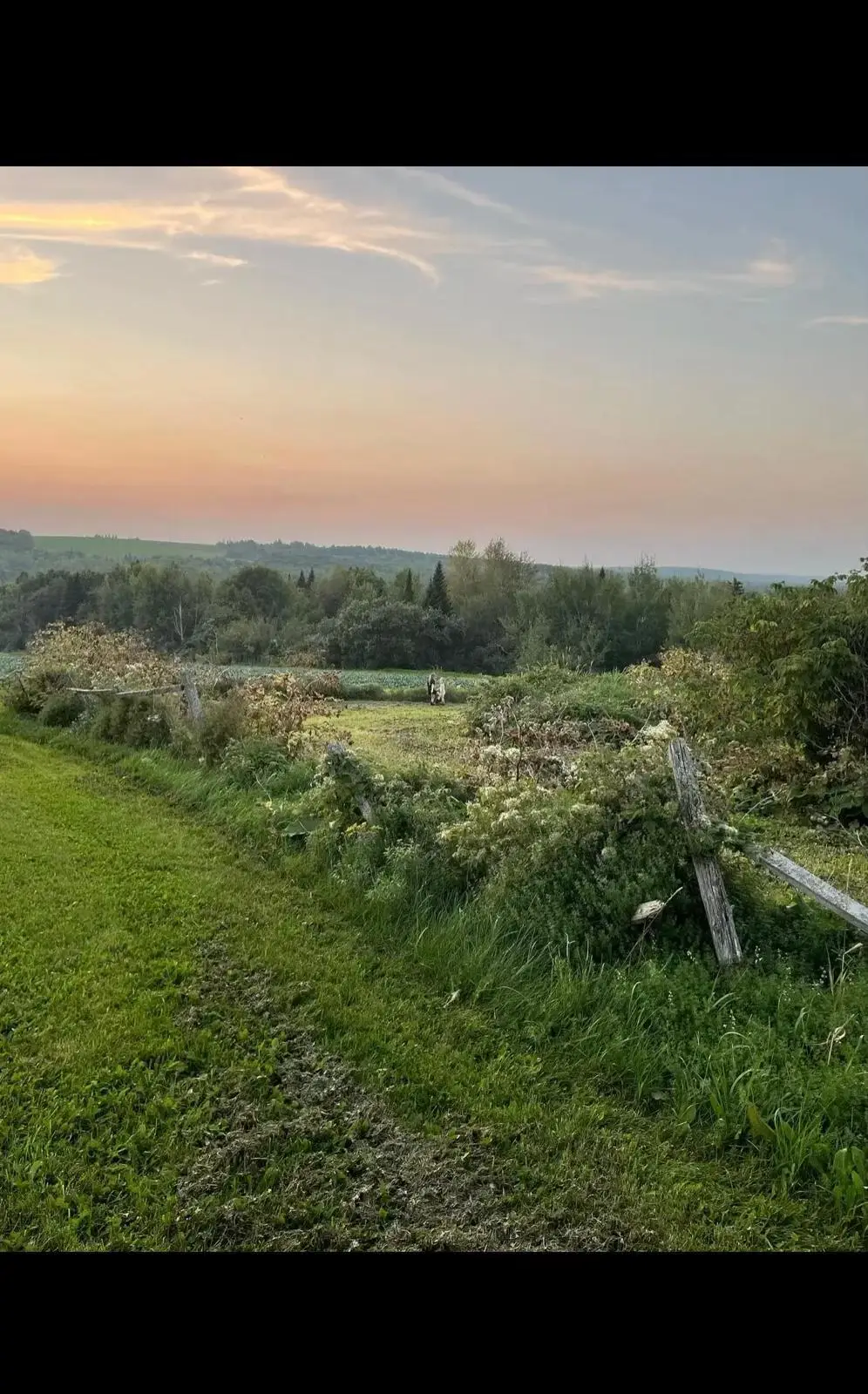 M8-L16 Grendell Road, Chapman, ME 04757 - #1