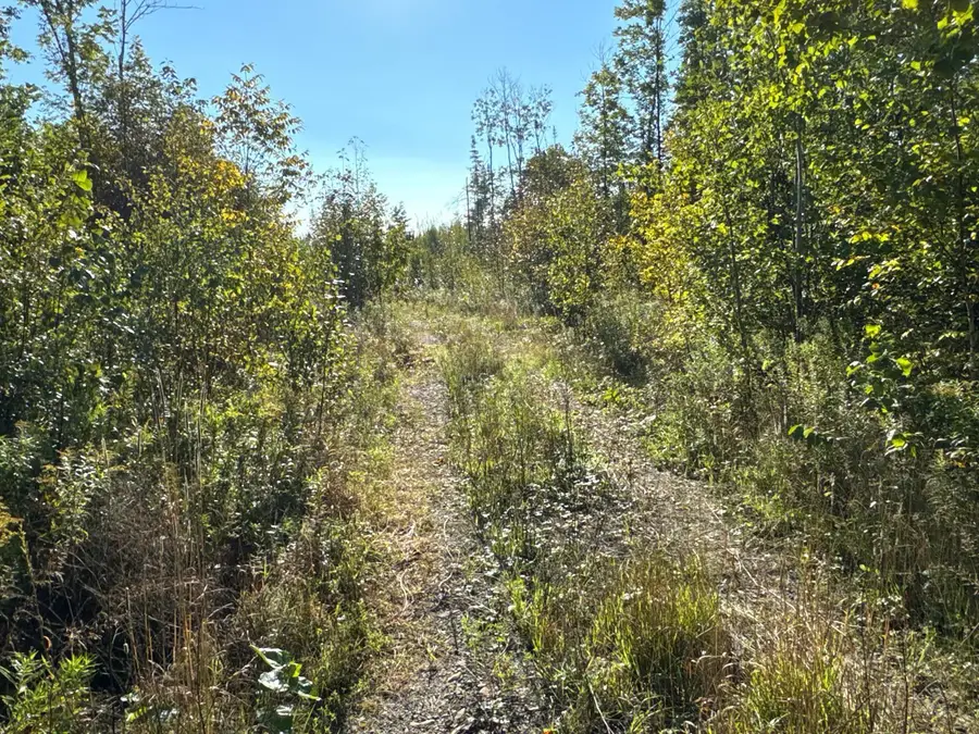 M8-L16 Grendell Road, Chapman, ME 04757 - #2