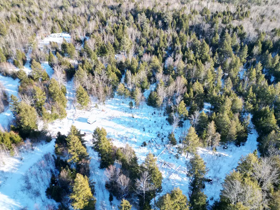 31 Timberview Drive, Burlington, ME 04417 - Image #3