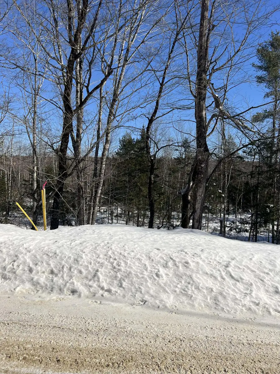 Lot 10 Albion Road, Freedom, ME 04941 - Image #3
