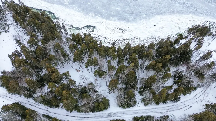 Lot B Fort Williams Road, Harrington, ME 04643 - Image #3