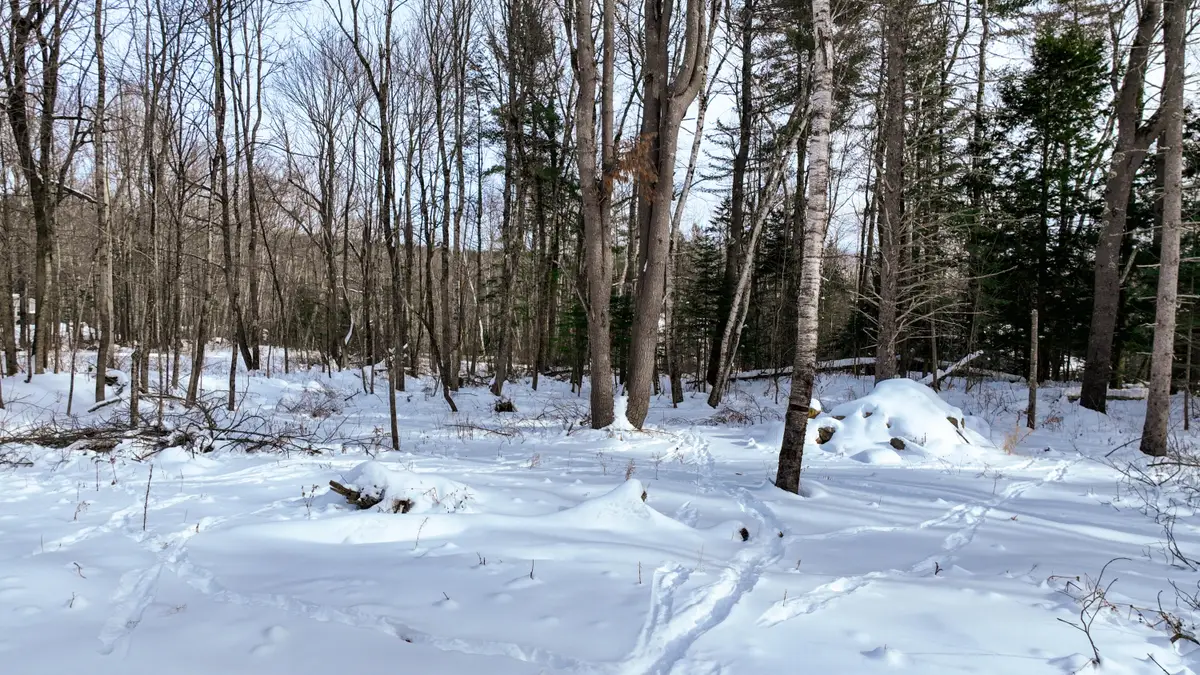 20 Skyscraper Hill Road, Brooks, ME 04921 - Image #1