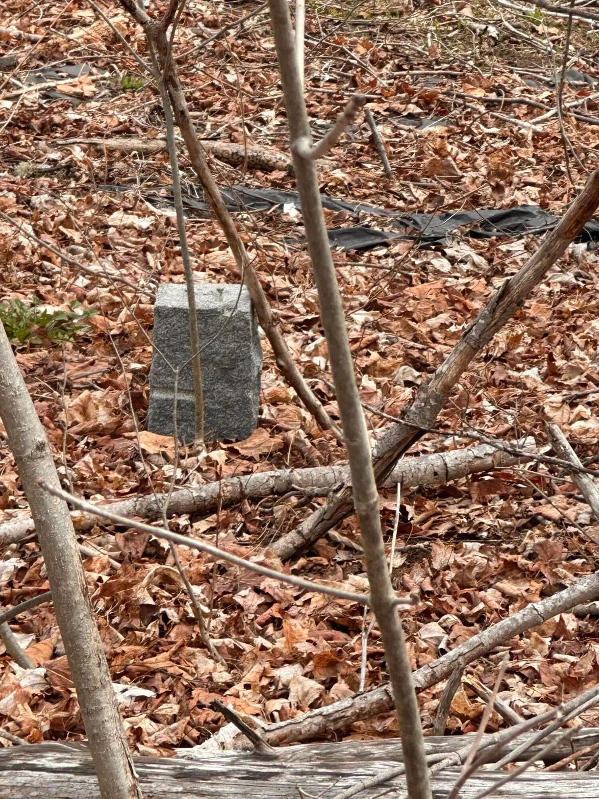 59 Gardiner Road, Dresden, ME 04342 - Image #1