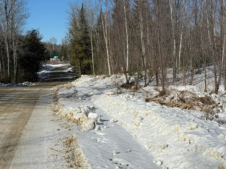 0 Hillview Avenue, Hodgdon, ME 04730 - Image #3