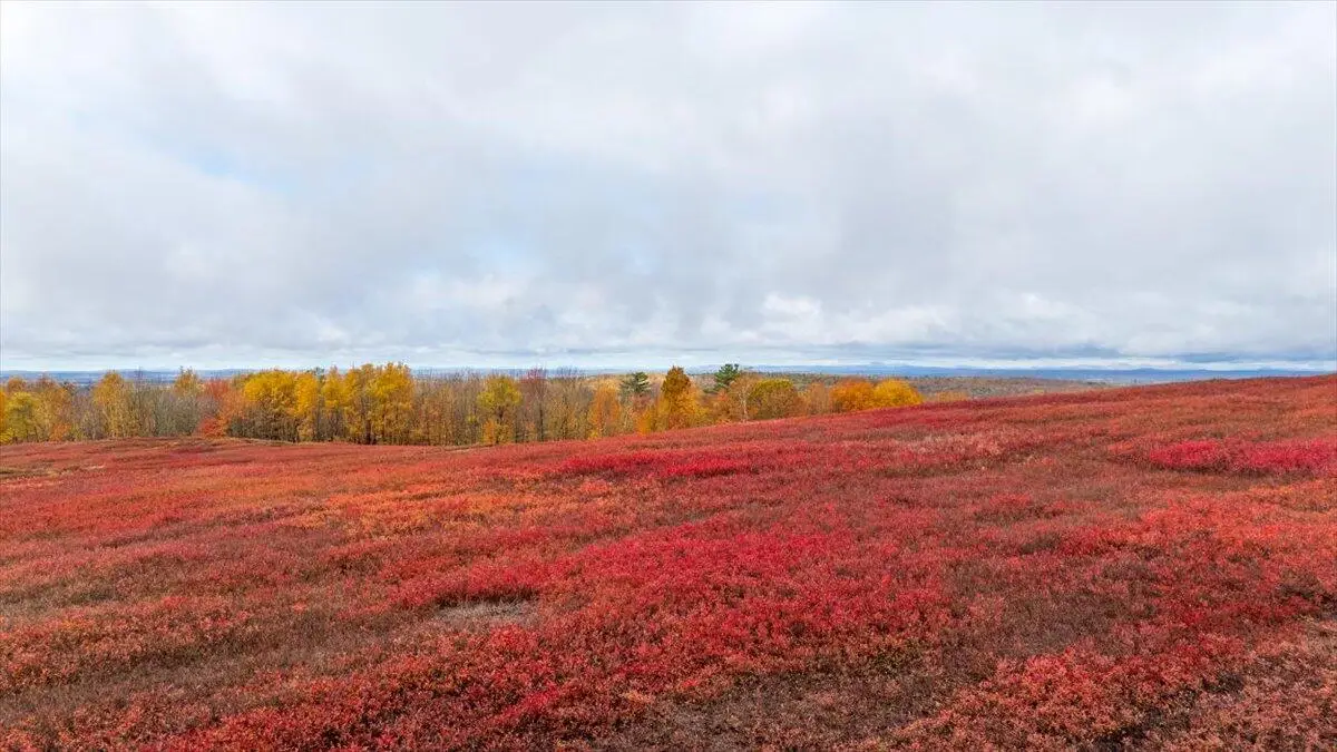 1490 Parmenter Road, Palermo, ME 04354 - Image #1