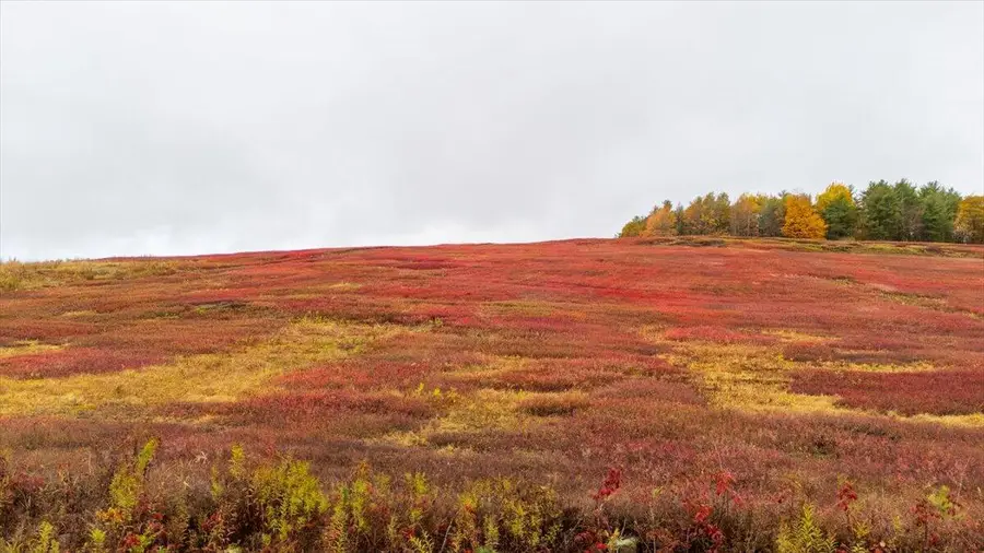 1490 Parmenter Road, Palermo, ME 04354 - Image #3