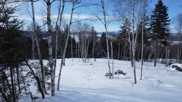 M13/L37 Barbara Lane, Sandy River Plt, ME 04970