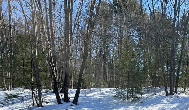 Lot 36A Mills Road, Kennebunkport, ME 04046 - #1