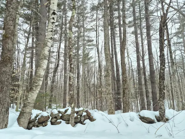 R06 L75-76 Staples Pond Road, Temple, ME 04984