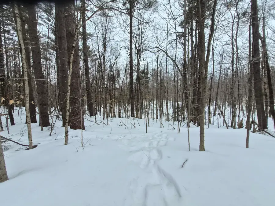 R06 L75-76 Staples Pond Road, Temple, ME 04984 - #3