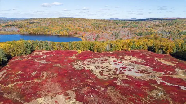 1443 Old Augusta Road, Waldoboro, ME 04572