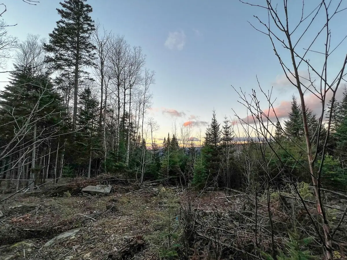 Lot 16 Mill Brook Road, Sandy River Plt, ME 04970 - #1