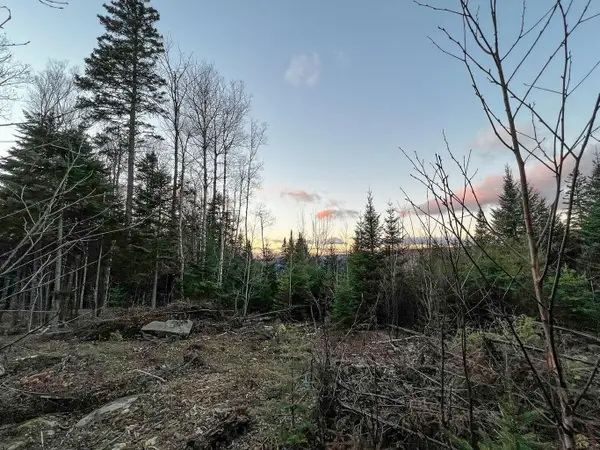 Lot 16 Mill Brook Road, Sandy River Plt, ME 04970
