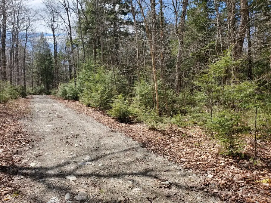 1.3 ac Off Barrows Lake Road, Alexander, ME 04694 - #3