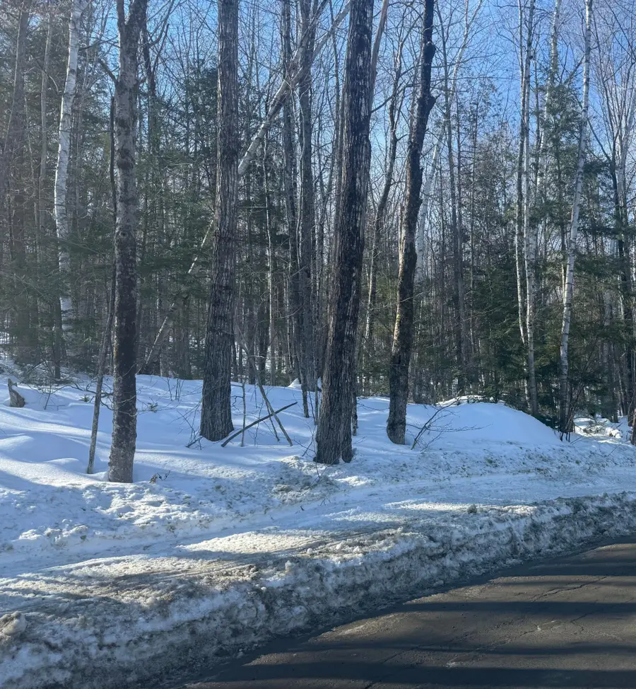 TBD Great Moose Pond Drive, Hartland, ME 04943 - #3