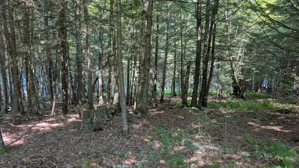 Lot #8 Kolm Road, Garland, ME 04939