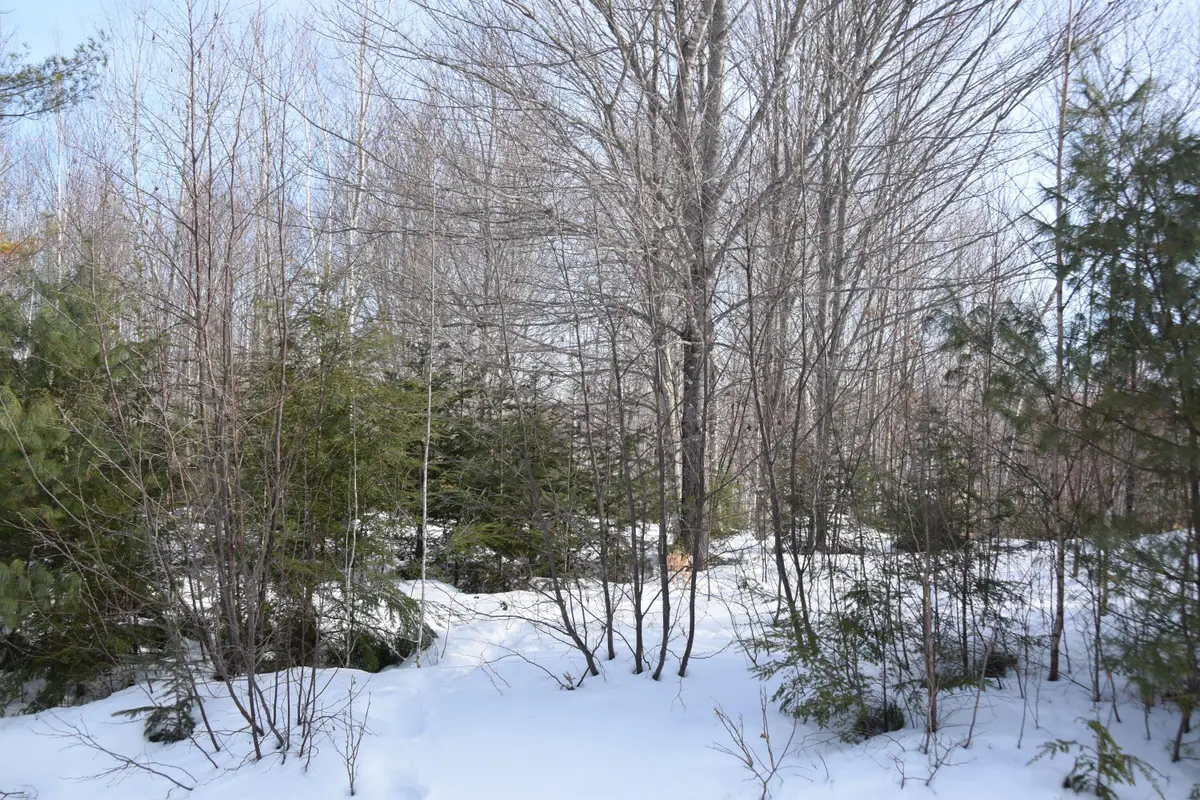 M7 L13-1 Pine Bluff Road, Embden, ME 04958 - #1