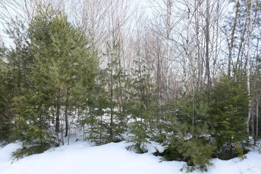 M7 L13-1 Pine Bluff Road, Embden, ME 04958 - #3