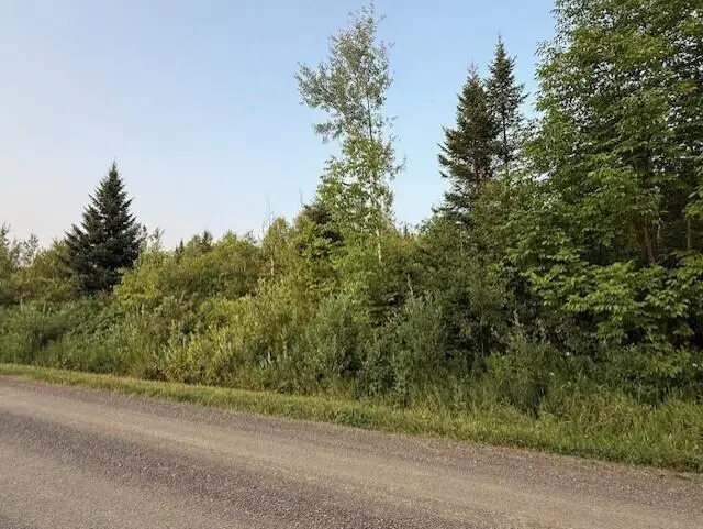 D Mcdonald Road, Castle Hill, ME 04757 - #3