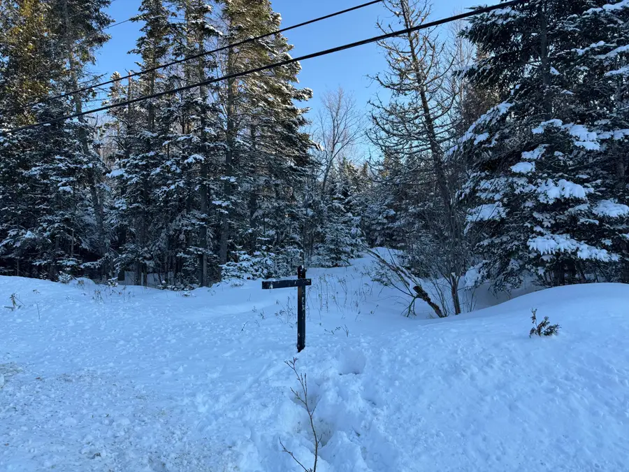101 Saddleback Mountain Road, Dallas Plt, ME 04970 - #3