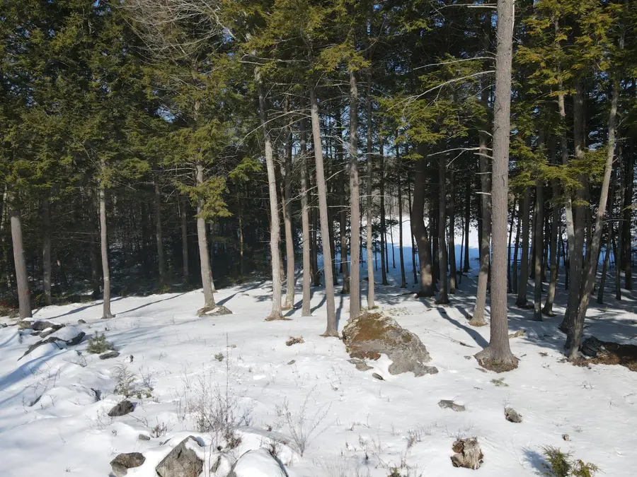 8 Martins Lane, Glenburn, ME 04401 - #3