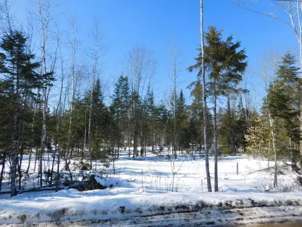 Lot # 4 Spring Bridge Road, Greenbush, ME 04418