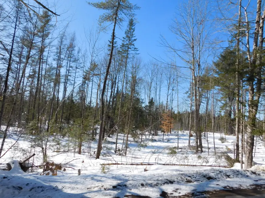 Lot # 4 Spring Bridge Road, Greenbush, ME 04418 - #2