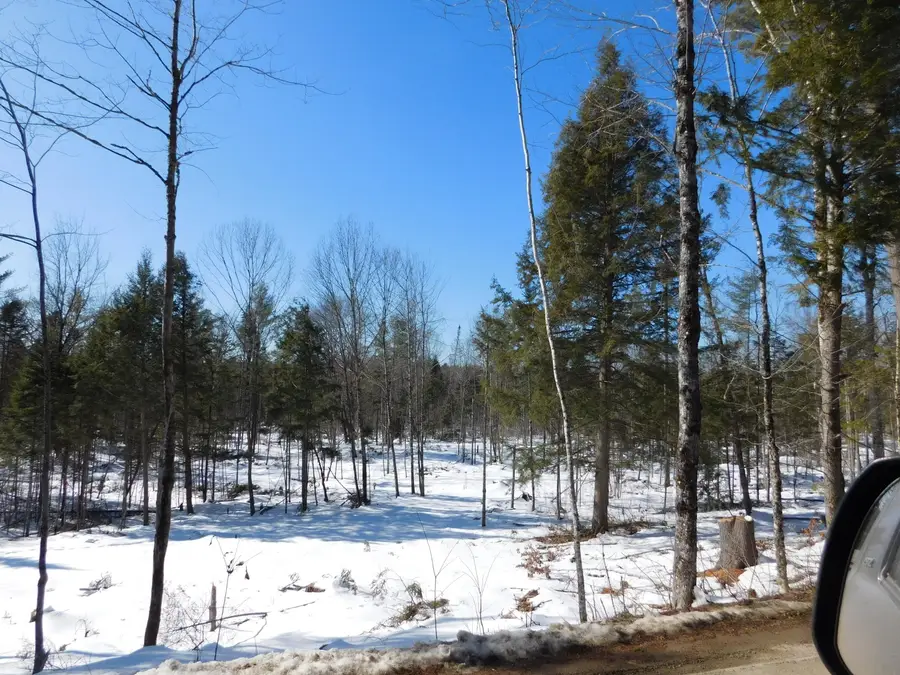 Lot # 3 Spring Bridge Road, Greenbush, ME 04418 - #3