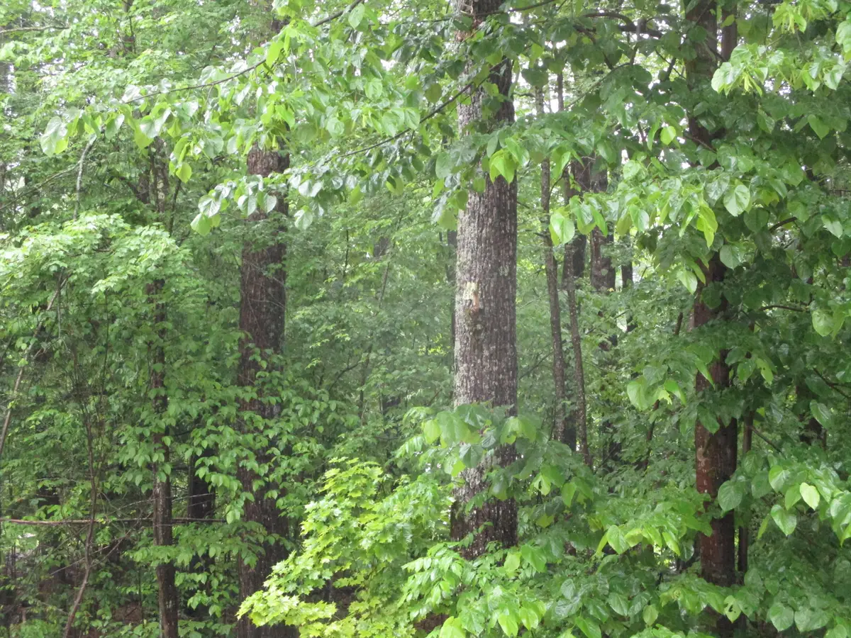 lot 8 Northwood Estates, Sebago, ME 04029 - #1