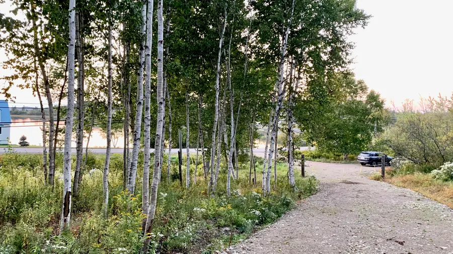 Lot 9-PART Rt 190 Road, Eastport, ME 04631 - #3